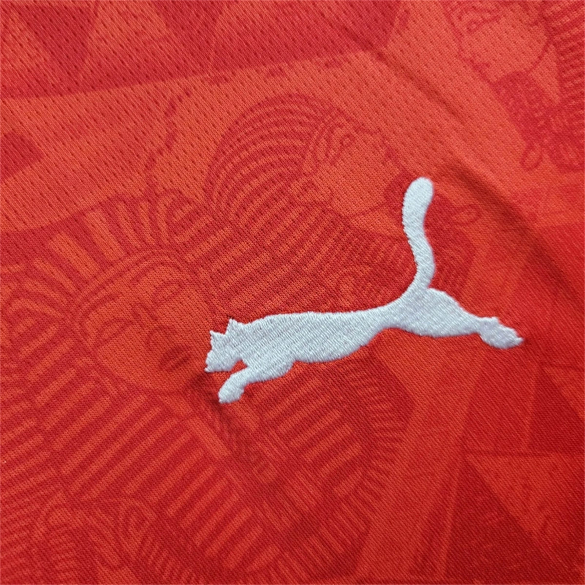 Egypt Trézéguet 21 Home Soccer Jersey 2024/25