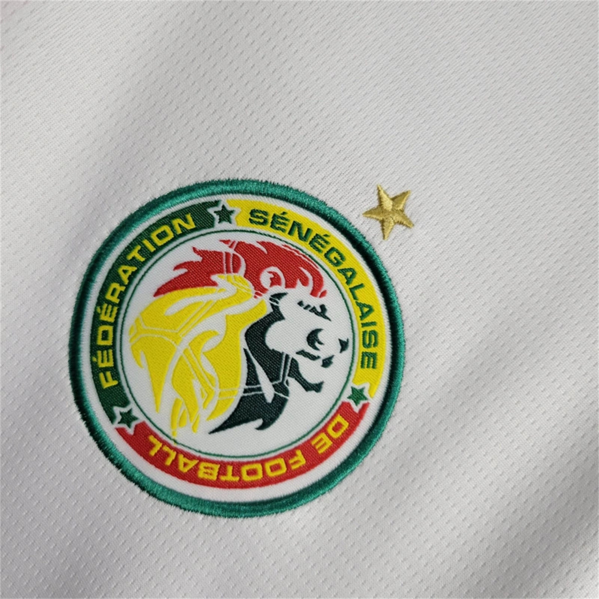 Senegal El Hadji Diouf 11 Home Soccer Jersey 2024/25