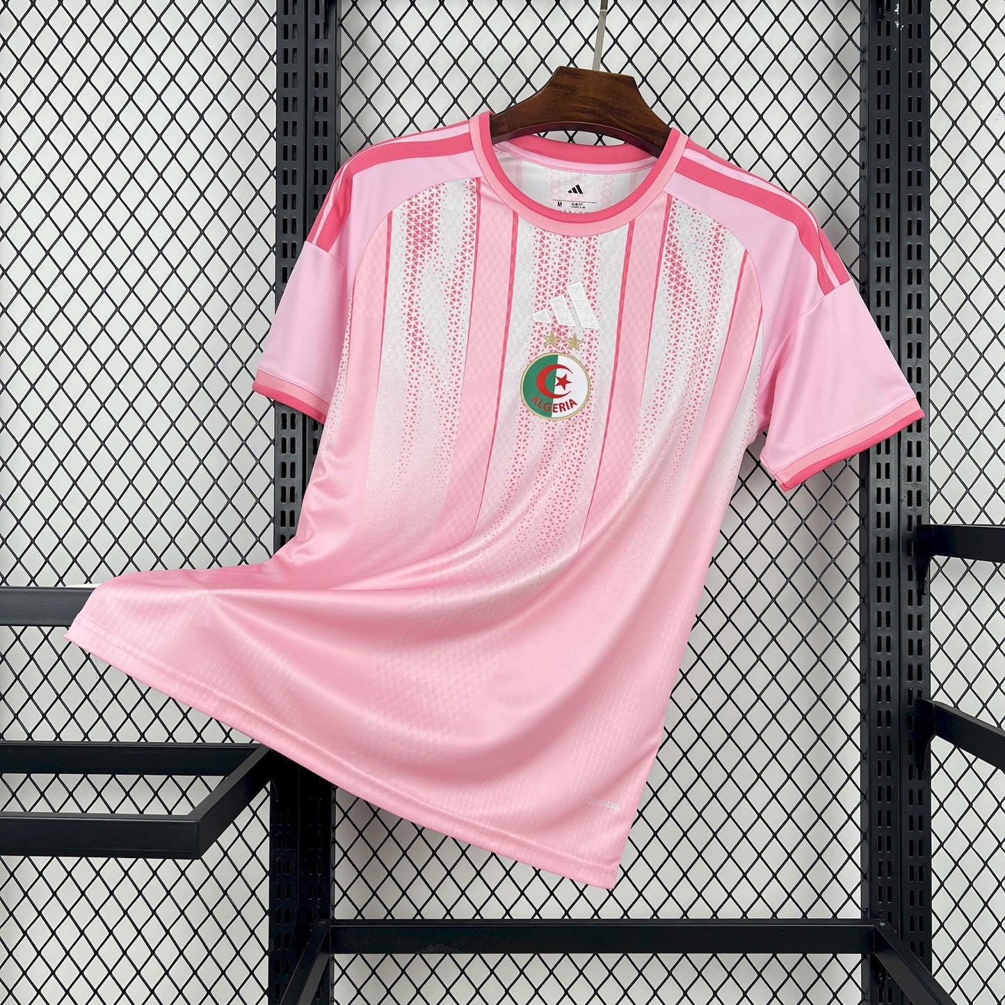 Algeria Pre-Match Soccer Jersey World Cup 2026 - Pink
